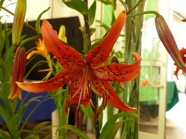 Foto: Dr. Peter Müller